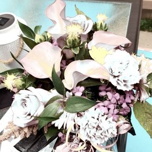 Meet your Posher, Nathalie